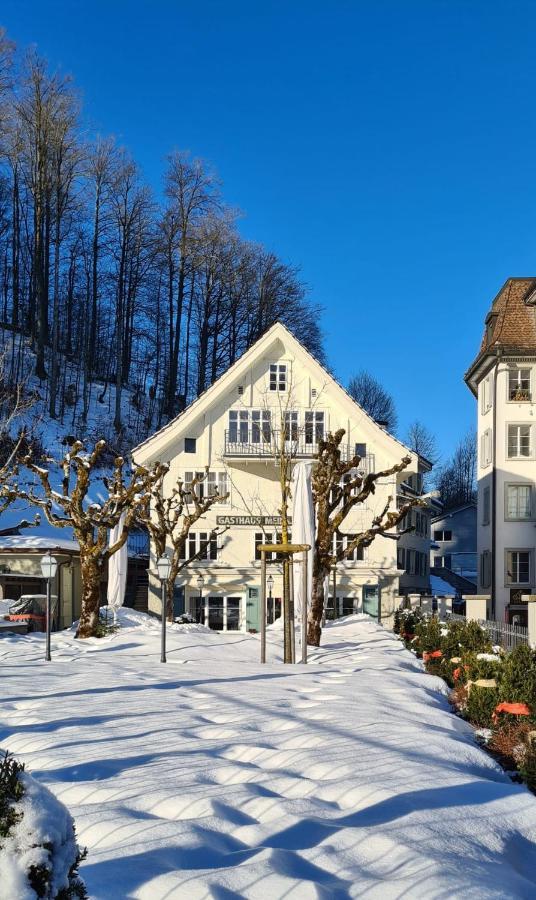 Apartment Meinradsberg Mit Balkon اينسيديلن المظهر الخارجي الصورة